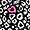 Cheetah Girl (CHEG)