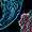 Paisley Illusions (PAIL)