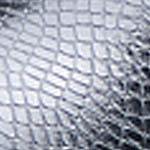 Photo of Step In