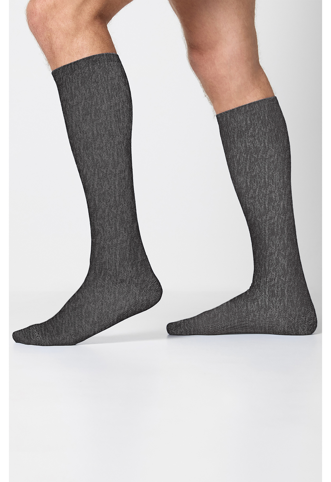 Product view